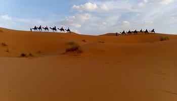 2 Days Desert Tour From Fes To Merzouga - Morocco