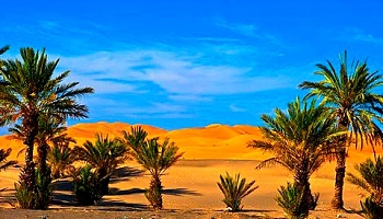 3 Days Tour From Marrakech To Merzouga Desert - Morocco