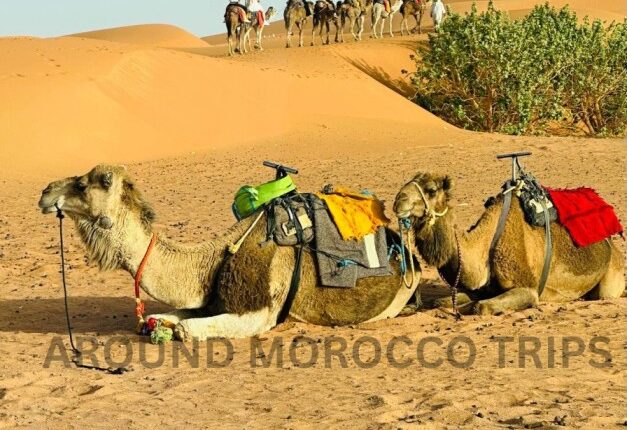 4 days tour Tangier to Marrakech desert trip