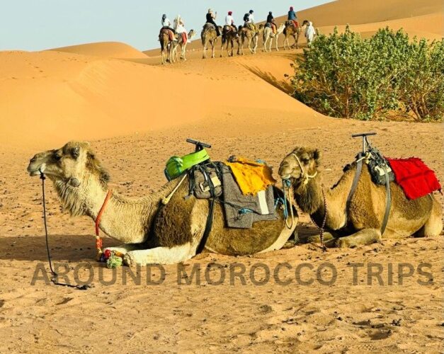 4 days tour Tangier to Marrakech desert trip