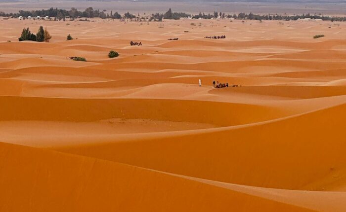 2 daysMorocco trip