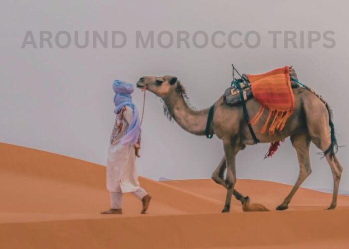 4 days tour Marrakech to fes