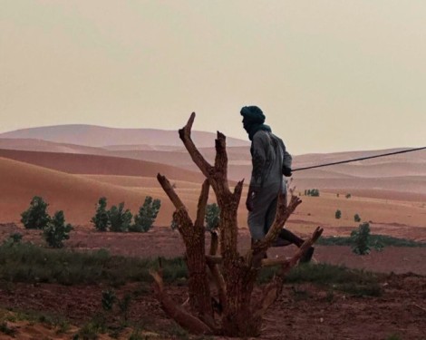 tour from Ouarzazate to Merzouga Excursion in 2 days /1 nIGHT