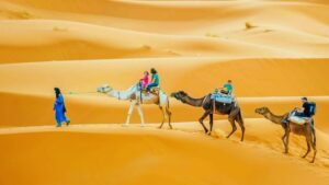 Morocco travel agency