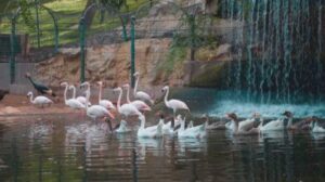 Agadir places to explore