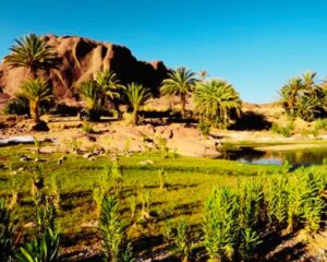 Merzouga things to do
