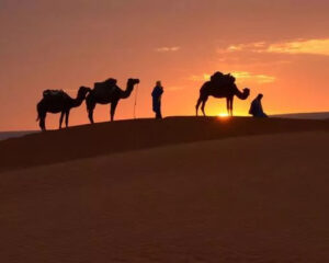 Erg Chebbi things to do