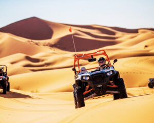 Sahara activities