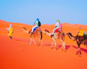 Merzouga activities