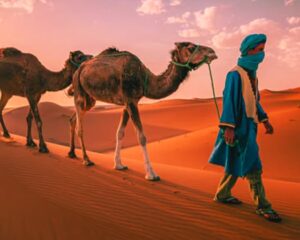 merzouga things to do