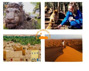 How to Reach Merzouga from Fes